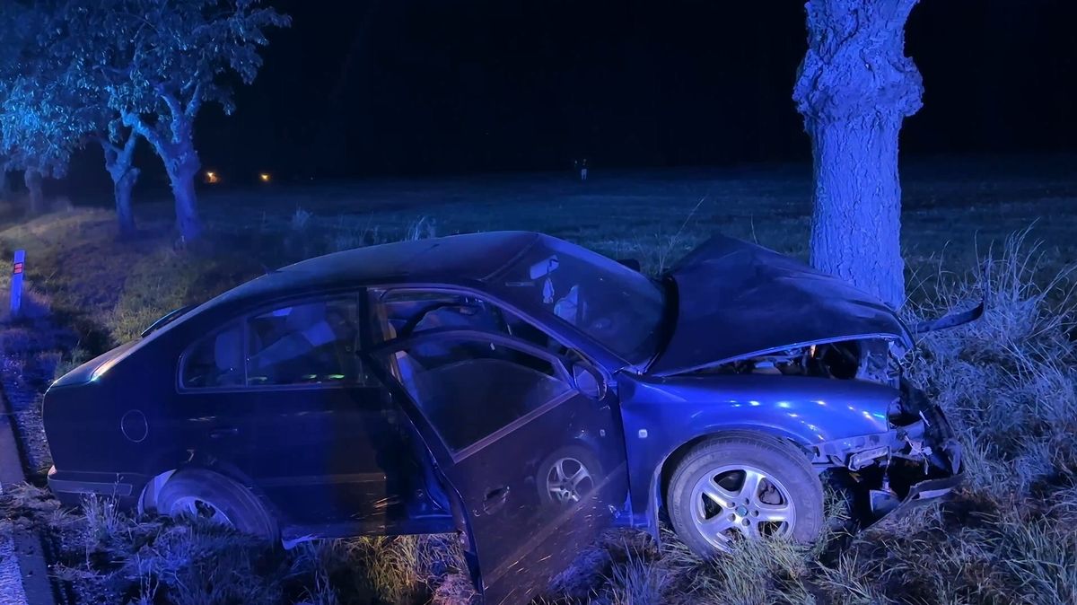 Opilý řidič naboural u Prahy do stromu, nadýchal 2,5 promile